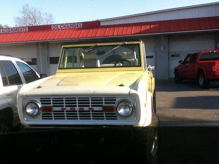 Anyone like broncos?-image-2586799370.jpg