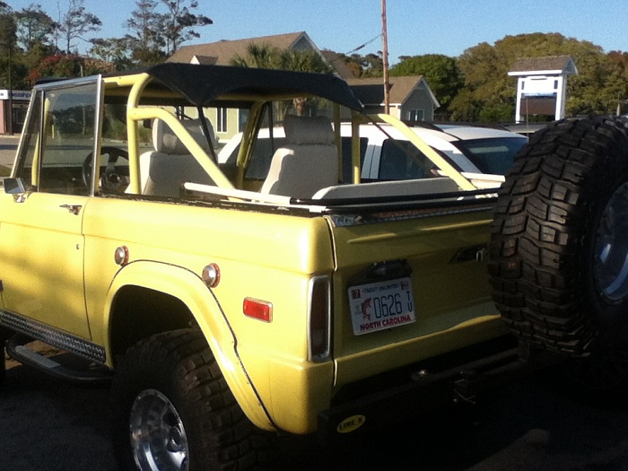 Anyone like broncos?-image-1721775178.jpg