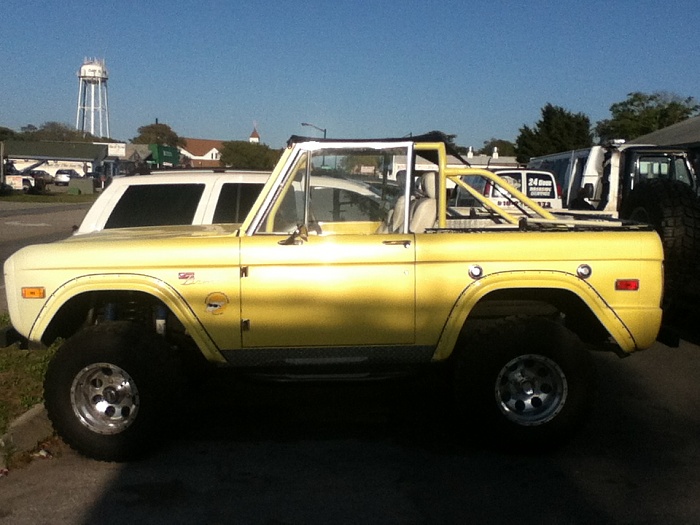 Anyone like broncos?-image-1230294038.jpg