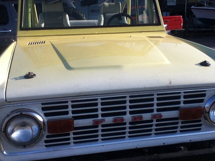 Anyone like broncos?-image-128424876.jpg