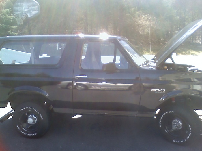 Anyone like broncos?-bronco.jpg