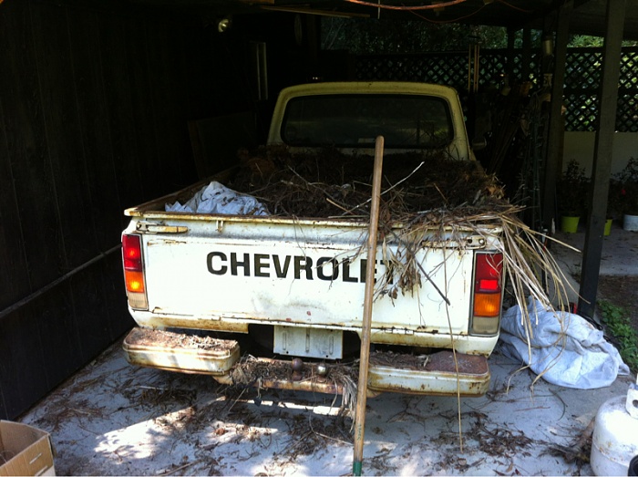 CHEVY LUV Questions-image-2276497172.jpg