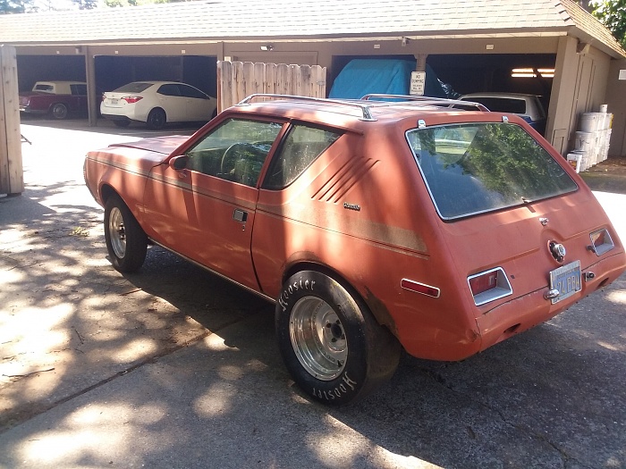The Gremlin-20160430_113335.jpg