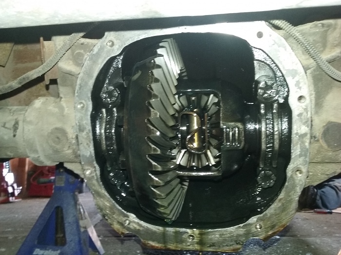 The Gremlin-20160502_145847.jpg