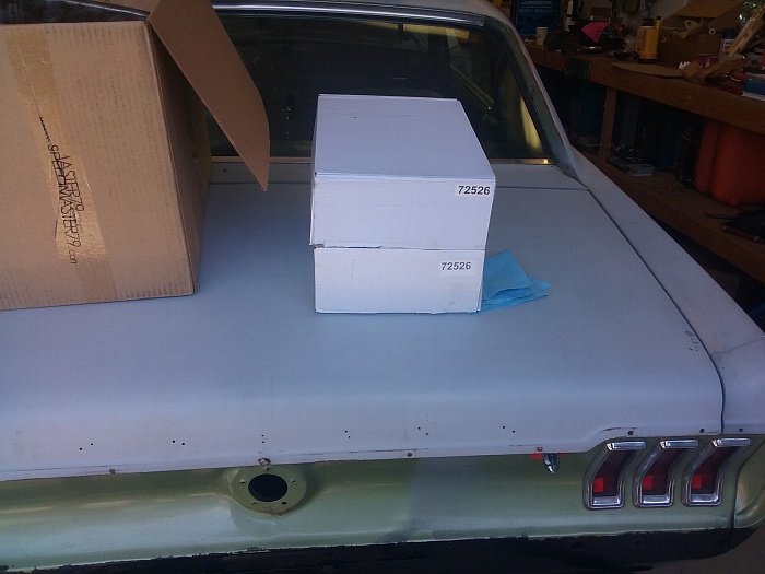 The Gremlin-20160430_130848.jpg