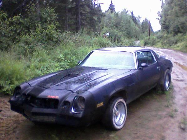 Name:  camaro.jpg
Views: 150
Size:  41.6 KB
