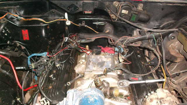 Name:  pspfolder695.jpg
Views: 4242
Size:  37.4 KB