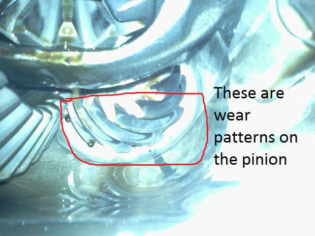 Differential wear?-pinion.jpg