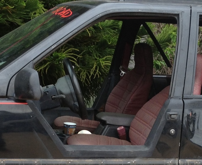 Half doors-image.jpg