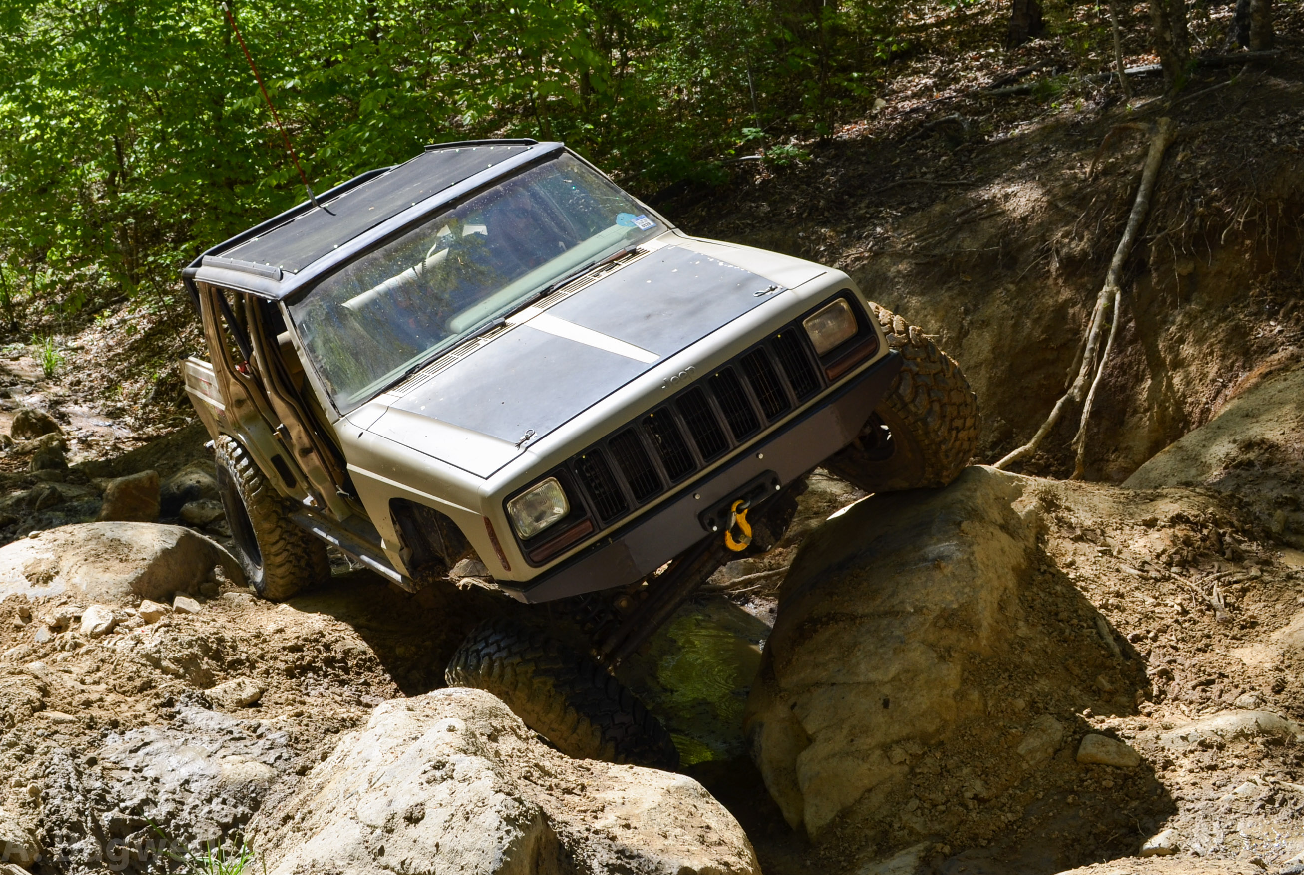 Name:  Gulches4-26-14-75_zps7d1b3644.jpg
Views: 693
Size:  1.23 MB