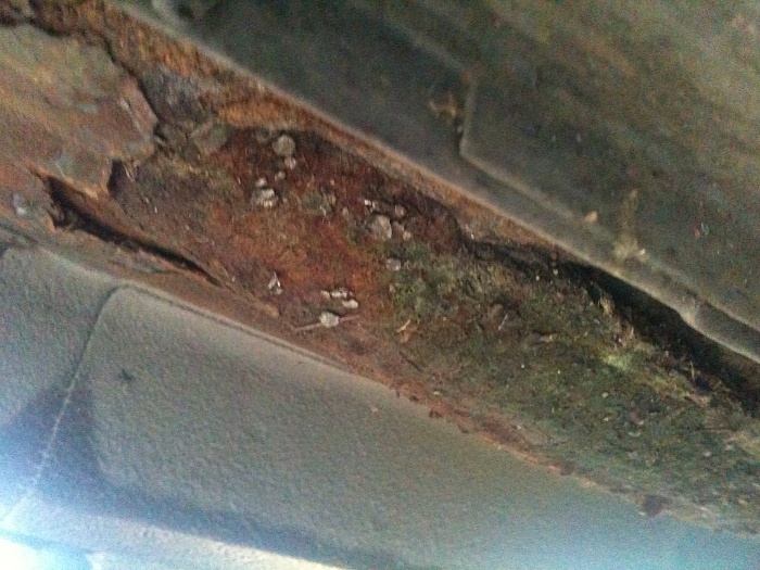 Need help!!! Rust!! 93 xj-191.jpg
