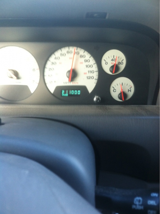 teenage owners post pics-image-578055948.jpg