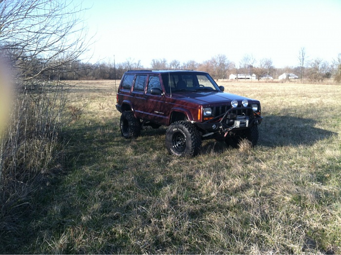 teenage owners post pics-image-1543489376.jpg