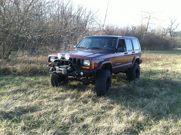 teenage owners post pics-image-1518028045.jpg