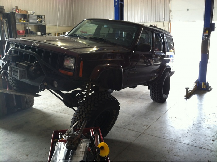teenage owners post pics-image-359192436.jpg