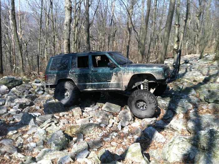 flex pics-image-523743681.jpg