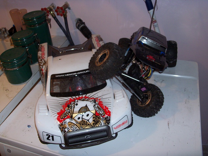 flex pics-101_0939-copy.jpg