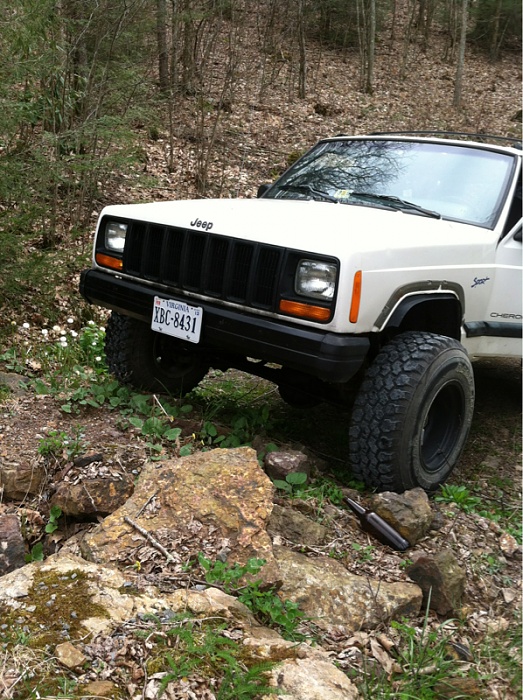 teenage owners post pics-image-2557880622.jpg