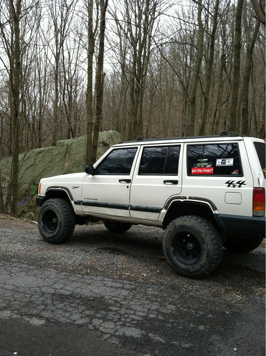 teenage owners post pics-image-2575931476.jpg