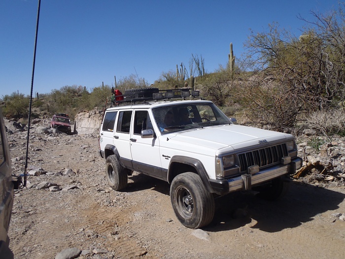 teenage owners post pics-6859853371_aeceec834f_b.jpg