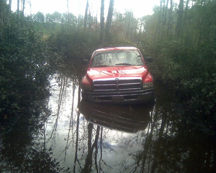 The "Stuck" thread-dodge.jpg