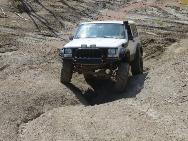 flex pics-dsc07659.jpg