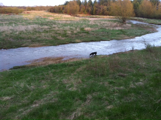 What did you do to your Cherokee today?-river-up-5-ft-no-bridge.jpg