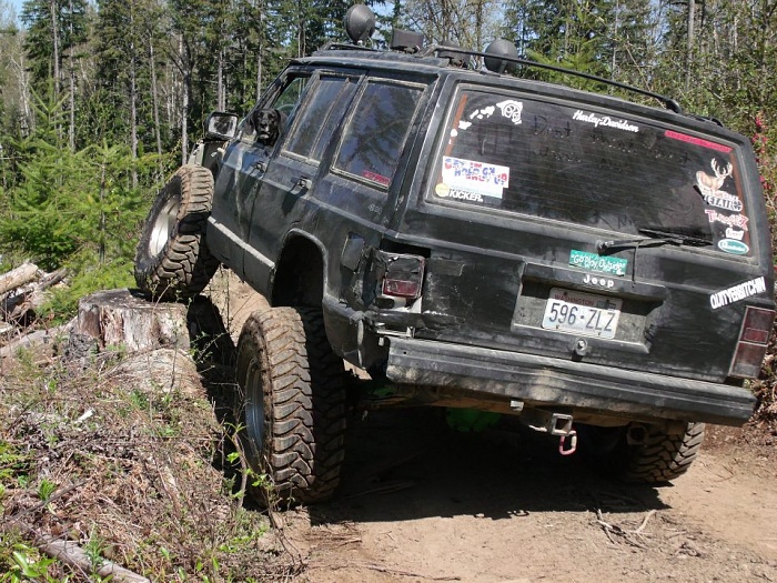 Your Dog in Your XJ-mooseie.jpg