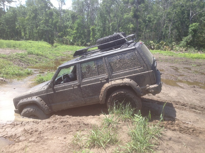 teenage owners post pics-image-2847363970.jpg