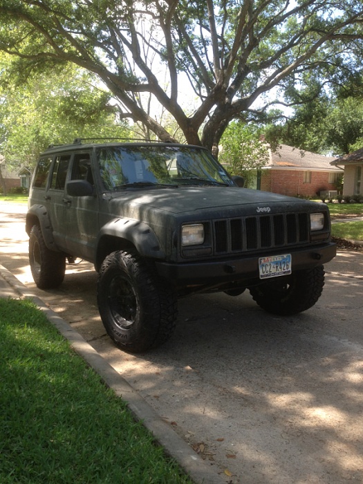 teenage owners post pics-image-1704192719.jpg
