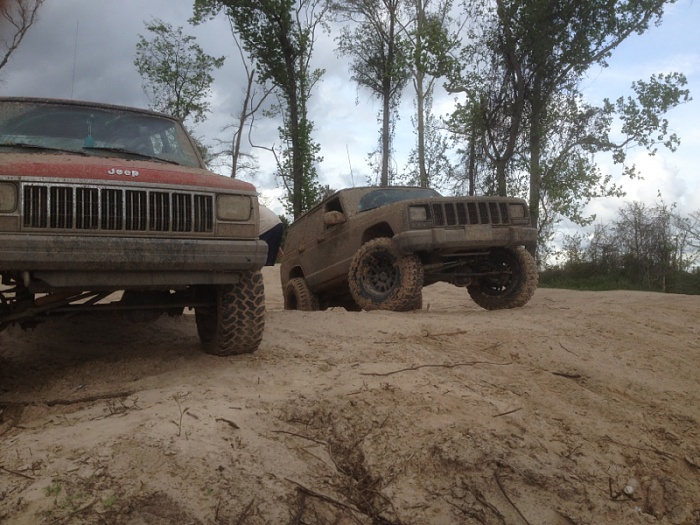 teenage owners post pics-image-4040197530.jpg