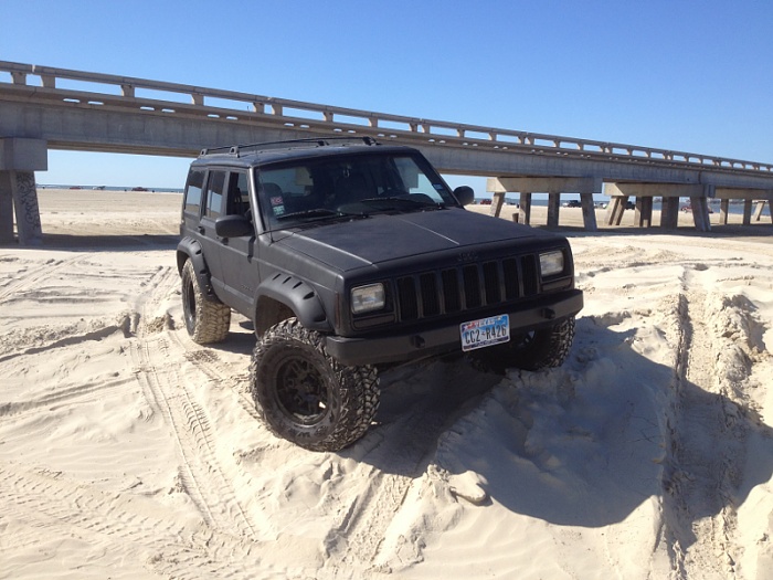teenage owners post pics-image-901657059.jpg