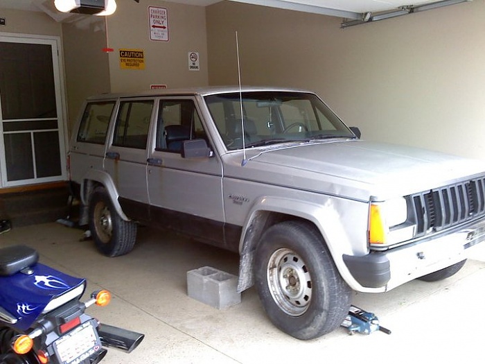 teenage owners post pics-249716_1842109211314_1198082770_31743921_1383793_n.jpg