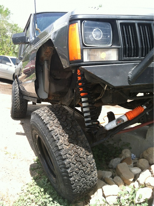 flex pics-image-47379470.jpg