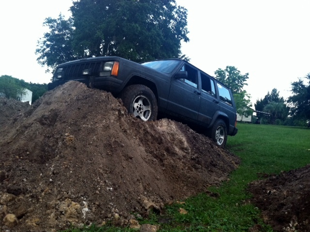 teenage owners post pics-image-307668462.jpg