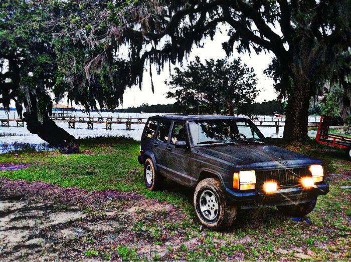 teenage owners post pics-image-4229768946.jpg