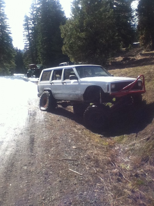 flex pics-image-3499557468.jpg