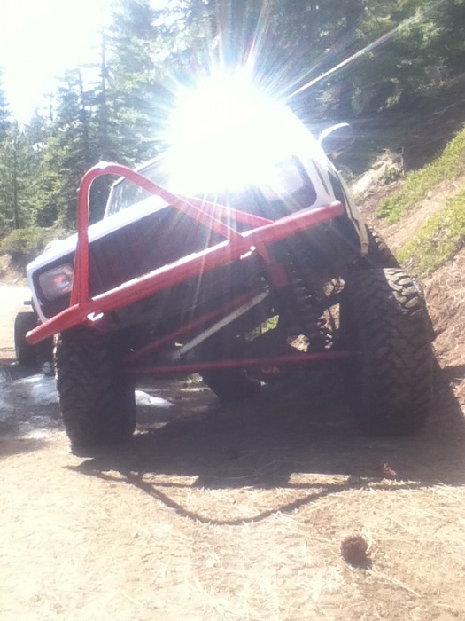 flex pics-image-1116278450.jpg