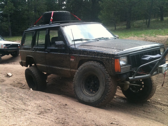 teenage owners post pics-image-3026327621.jpg