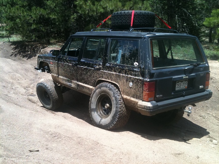 teenage owners post pics-image-996762985.jpg