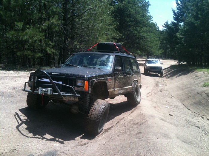 teenage owners post pics-image-189569926.jpg