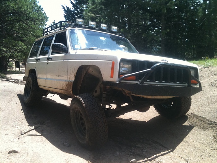 teenage owners post pics-image-3031776980.jpg
