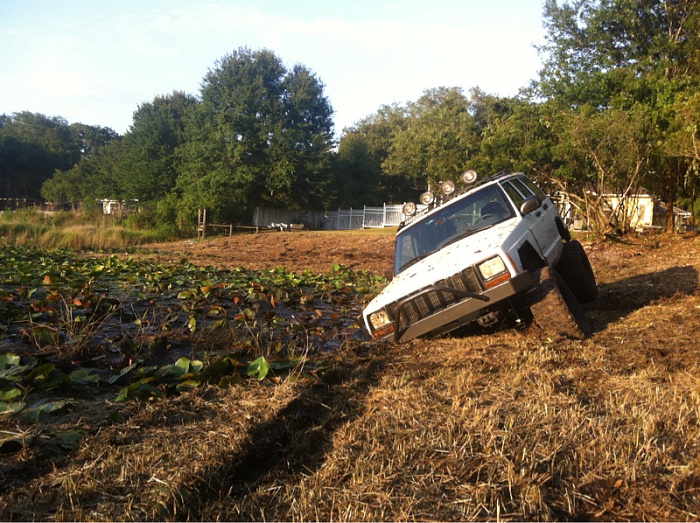 teenage owners post pics-image-875657025.jpg
