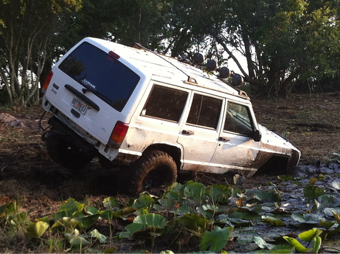teenage owners post pics-image-3601184156.jpg