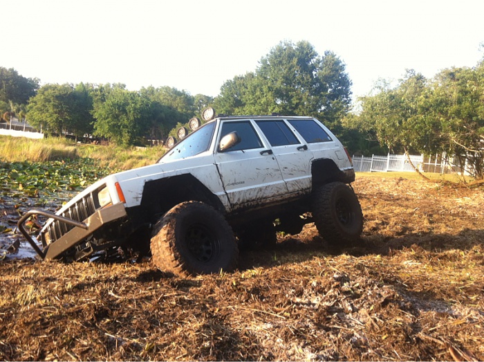 teenage owners post pics-image-628993521.jpg