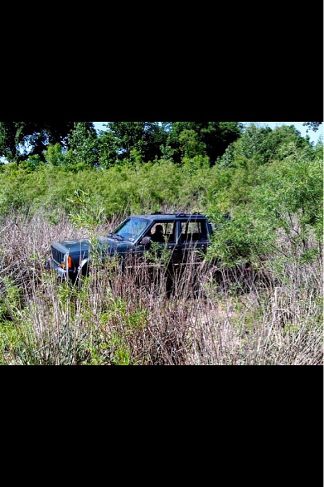 teenage owners post pics-image-4039957660.jpg