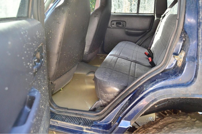 teenage owners post pics-image-3551573679.jpg