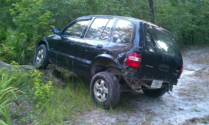 flex pics-kia.jpg