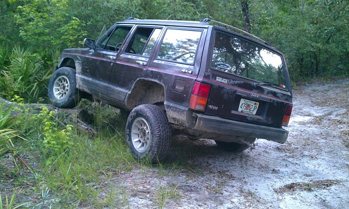 flex pics-xj.jpg