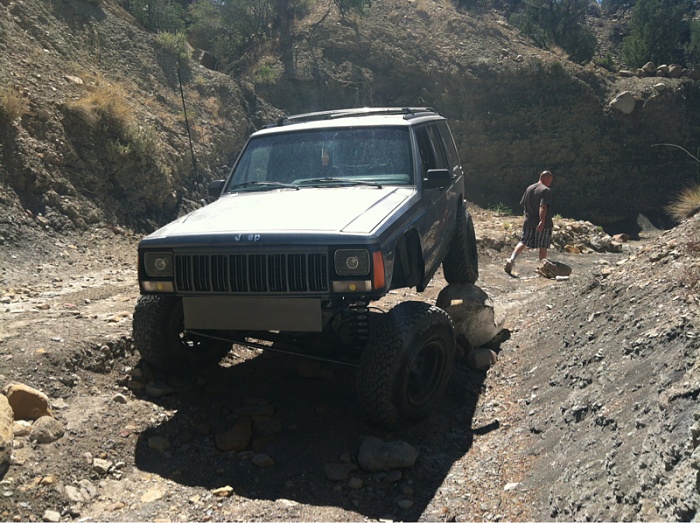 flex pics-image-3426383631.jpg